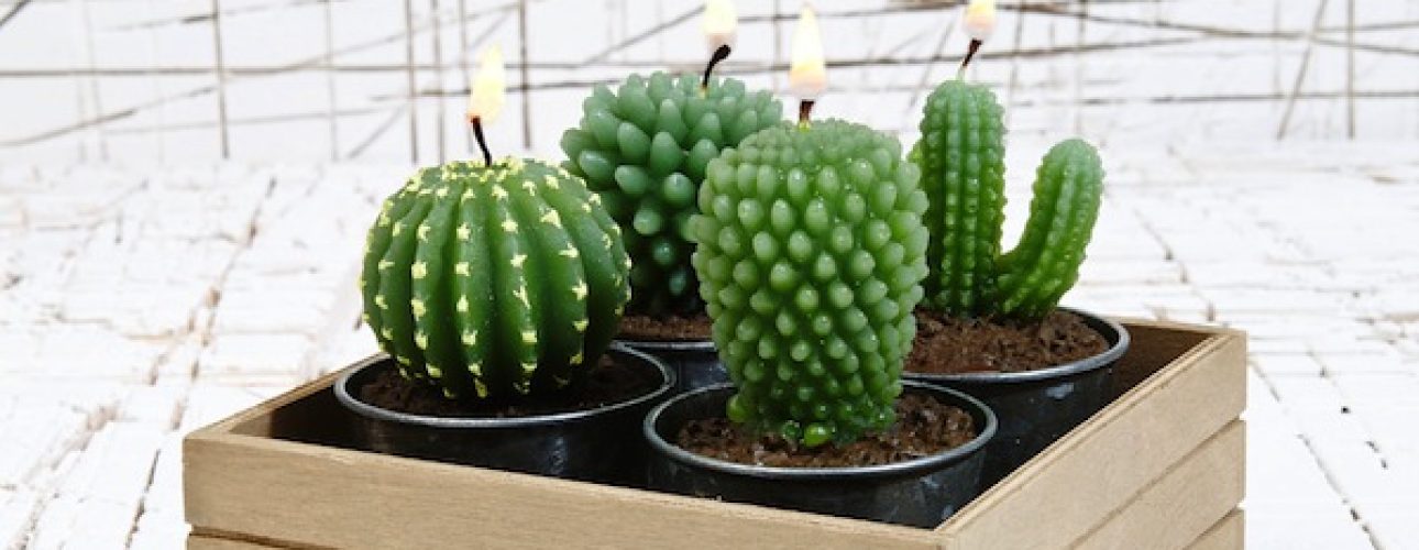 Cacti Candle Set, £5, Urban Outfitters
