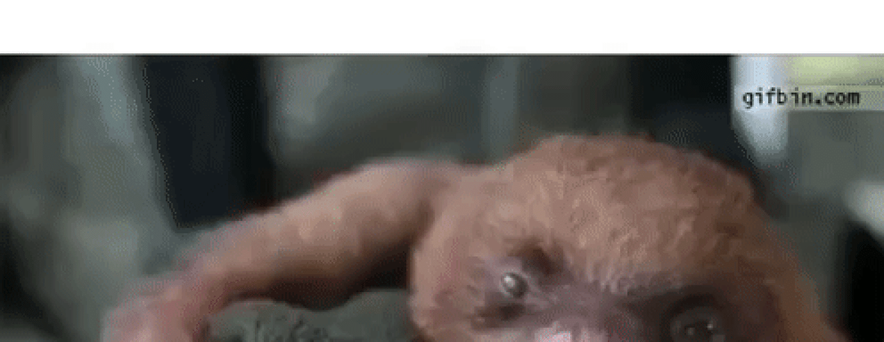 ezgif.com-video-to-gif-7
